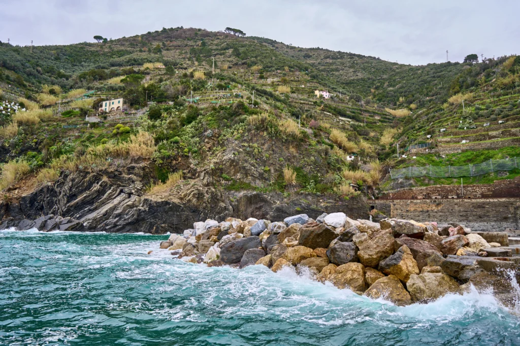 Sendero entre viñedos con vista al mar en Cinque Terre